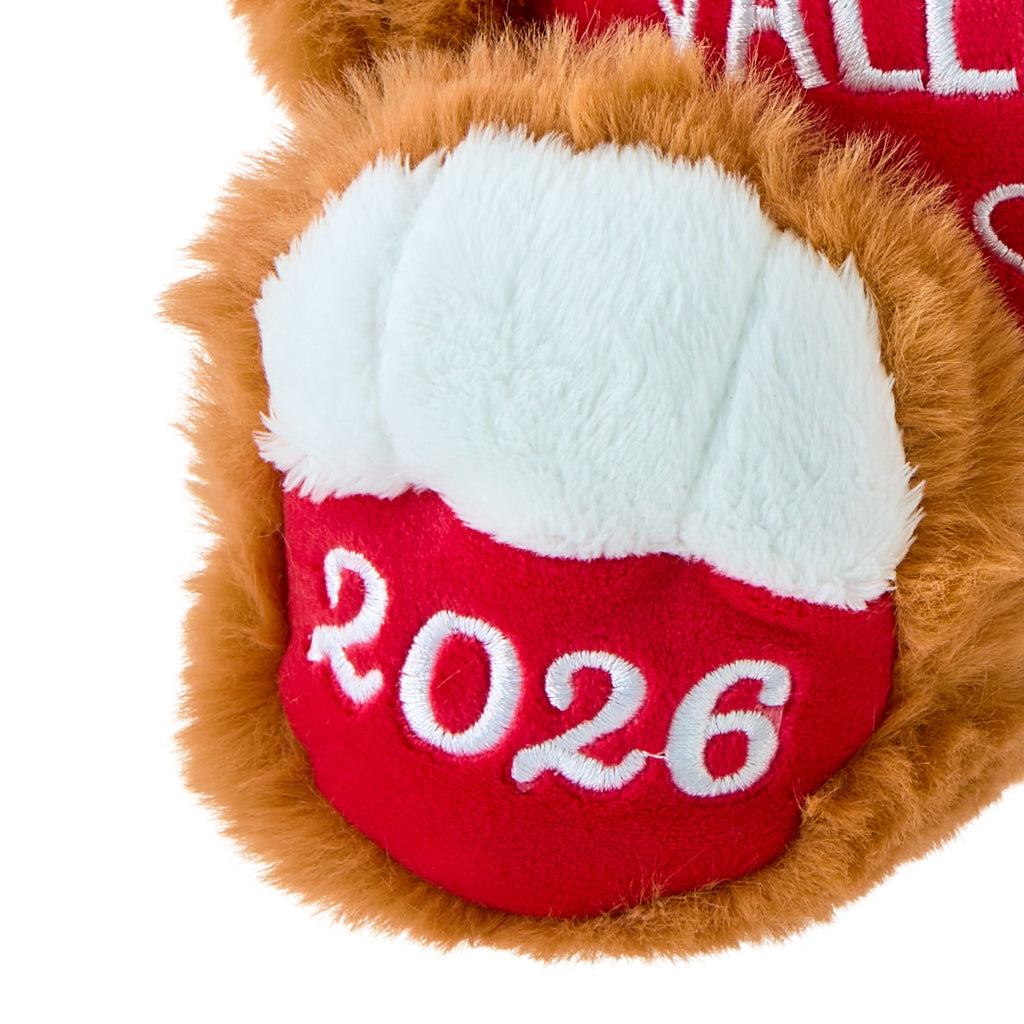 Oso de Peluche San Valentín 25 cm | Regalo Romántico con Corazón